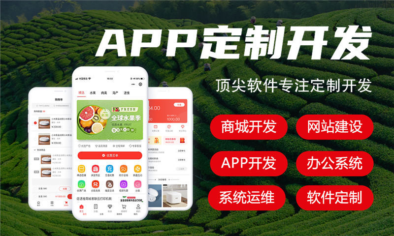 嘉兴汽车系统开发解决方案及功能计划书