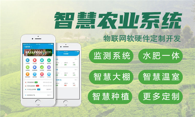 湖州STM32与ESP系列单片机综合解决方案及功能计划书