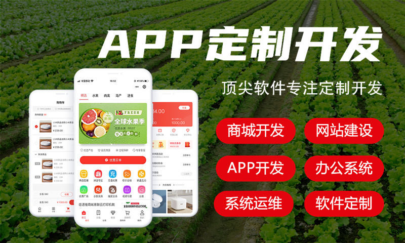 芜湖分销商城系统开发为企业带来新的生机和机遇