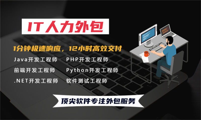 芜湖企业提供高效解决方案——IT人力外包服务助力项目成功