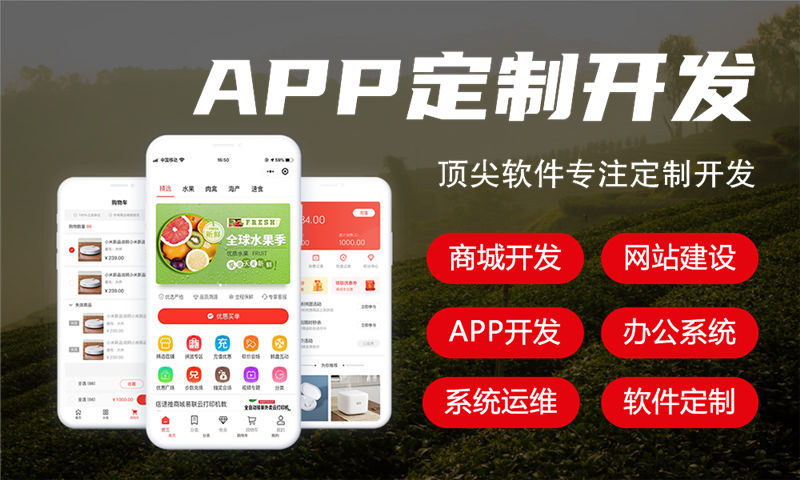 芜湖政务系统解决方案与功能计划书
