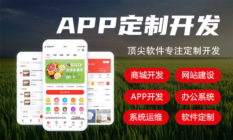 杭州政务系统开发解决方案及功能计划书