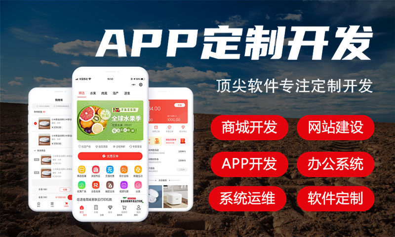 张家界电商系统解决方案与功能计划书