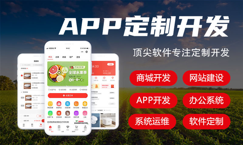 定安电信系统解决方案与功能计划书
