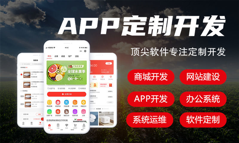 定安电商系统解决方案及功能计划书