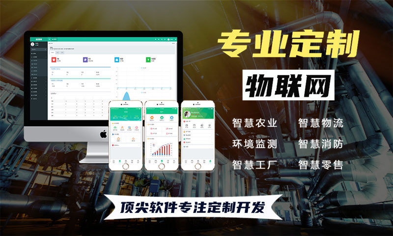 芜湖一站式单片机解决方案与功能计划书