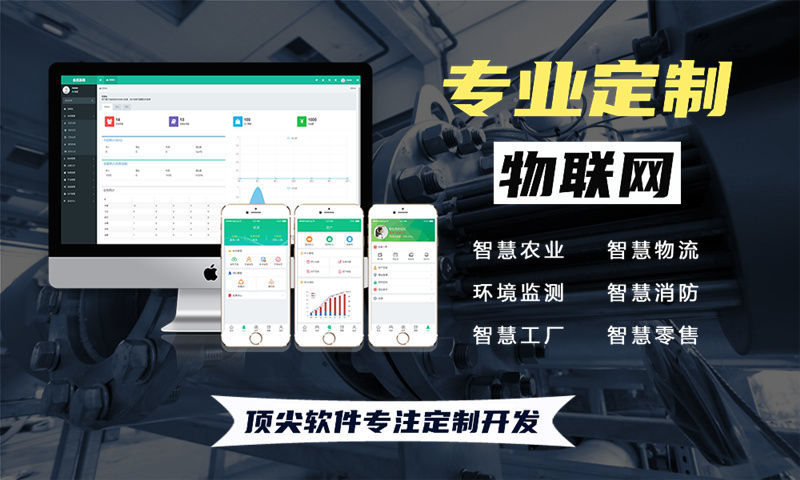 广州单片机开发解决方案：基于STM32、ESP32、4G/Cat1模组与合宙LuatOS的多功能物联网系统功能计划书