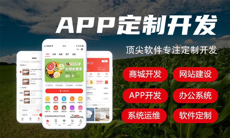 琼海餐饮系统开发解决方案：功能模块详解与技术实现路径