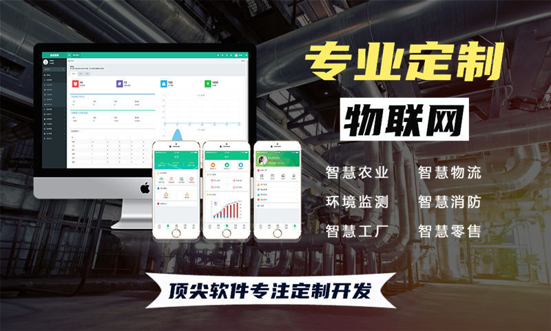 杭州单片机开发解决方案：基于STM32、ESP32、4G模组与LuatOS的多功能物联网系统功能计划书